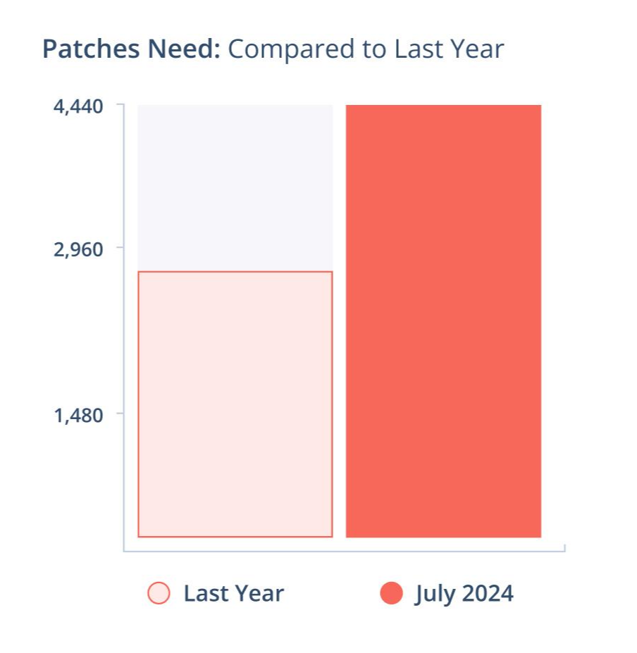 executive reporting patches compared to last year